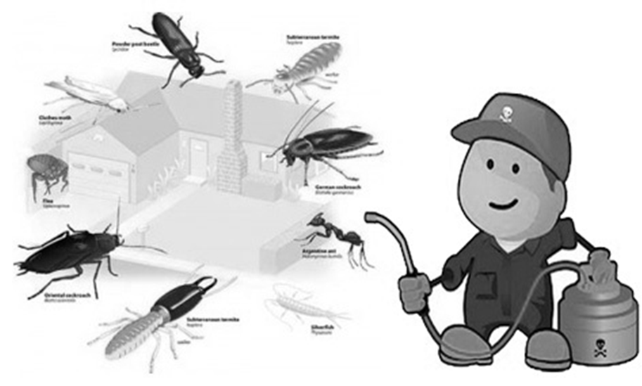 pest control companies